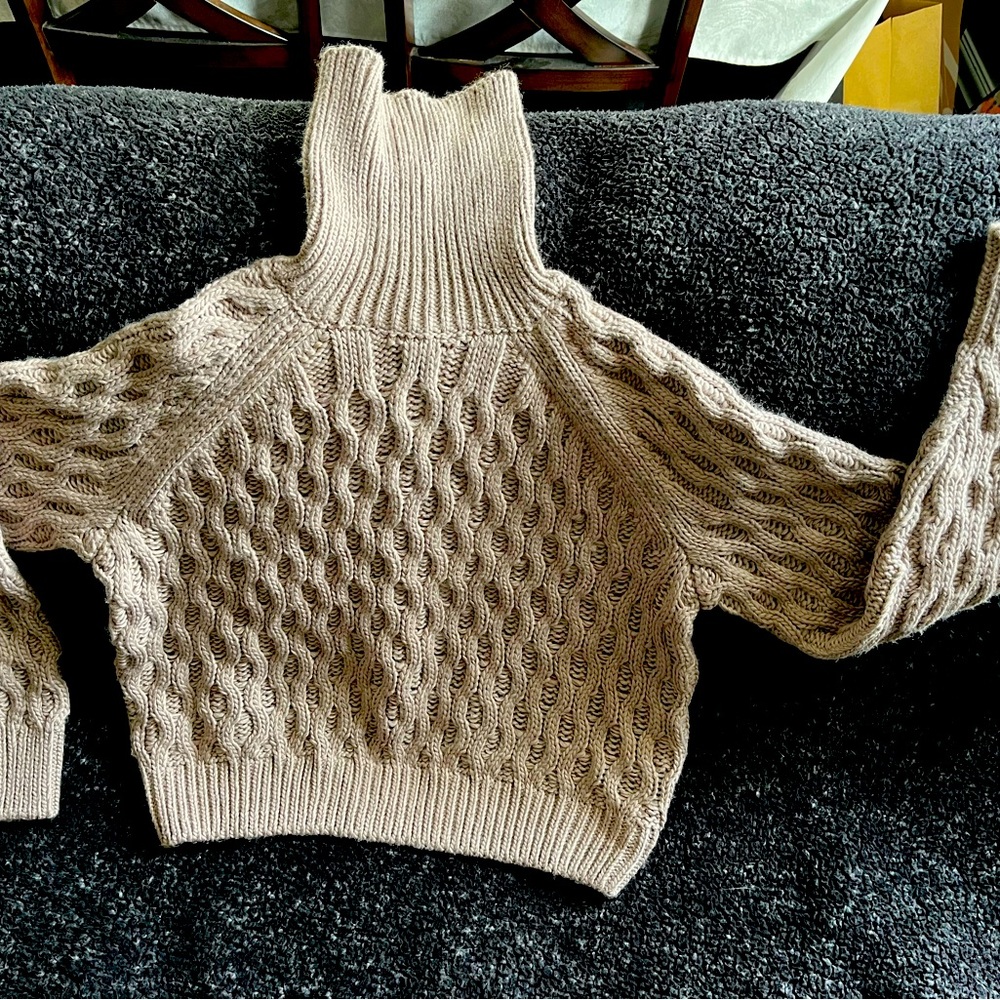 Cropped turtleneck from H & M